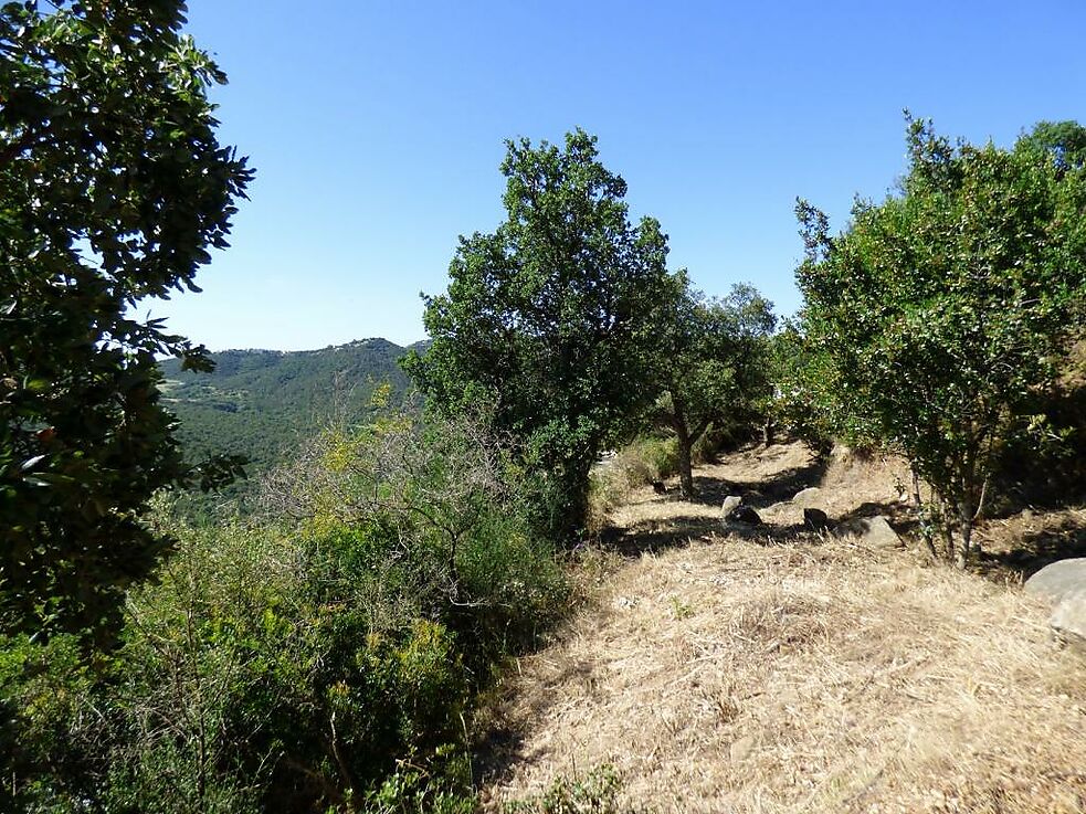 Parcelle à vendre à Calonge