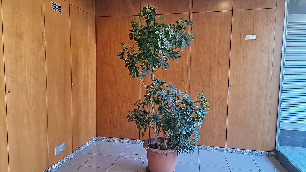 Appartement à vendre à Palamós