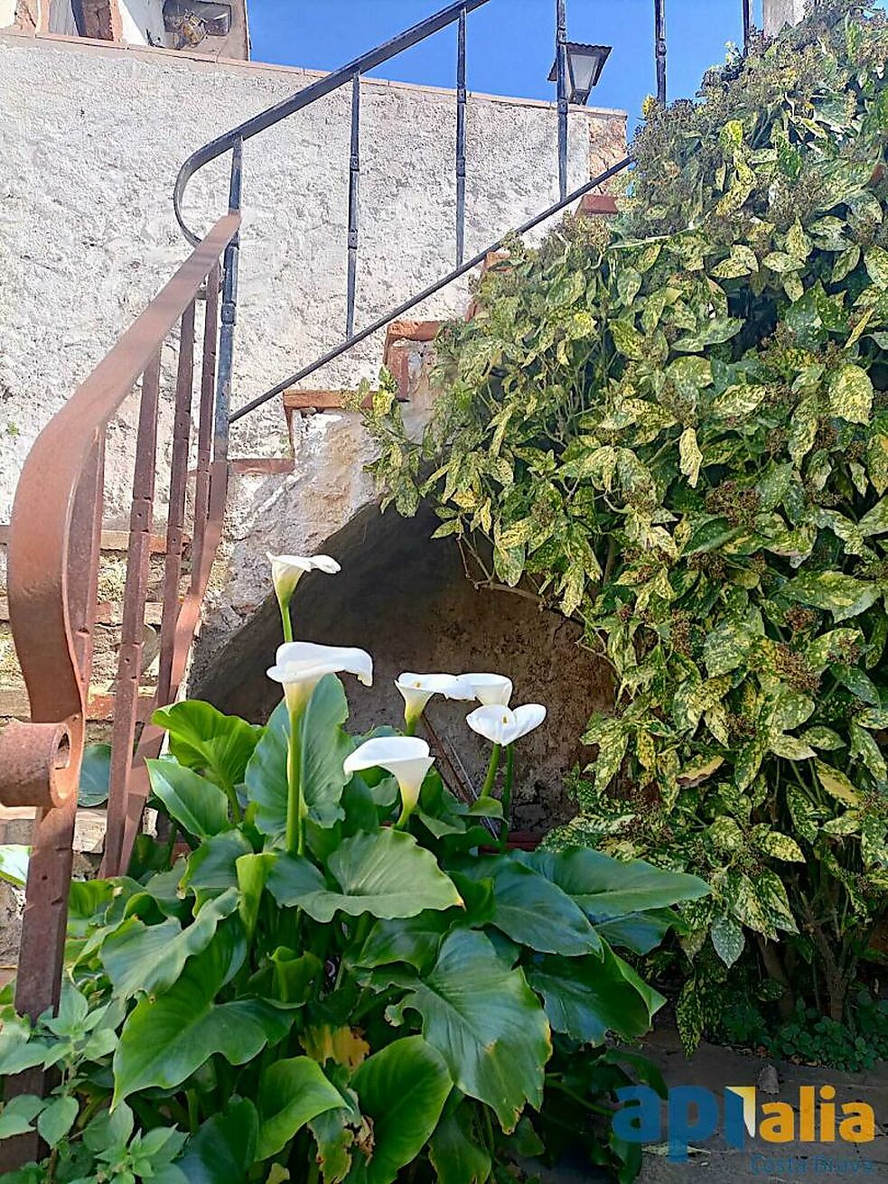 Maison à vendre à Palamós