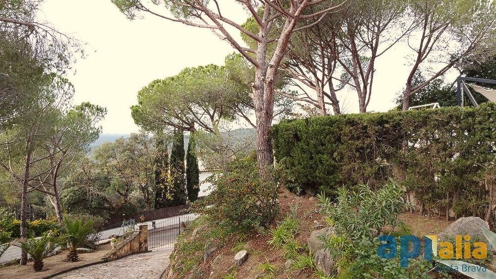 Casa en venta en Santa Cristina d'Aro