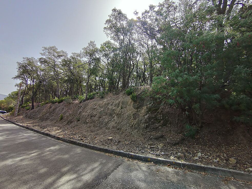 Parcela en venta en Santa Cristina d'Aro