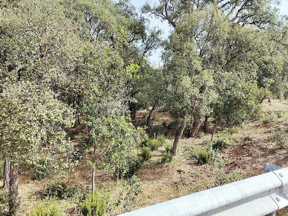 Parcela en venta en Santa Cristina d'Aro