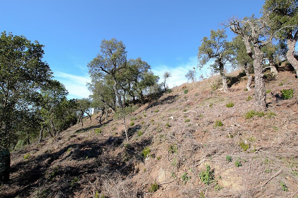 Plot for sale in Calonge