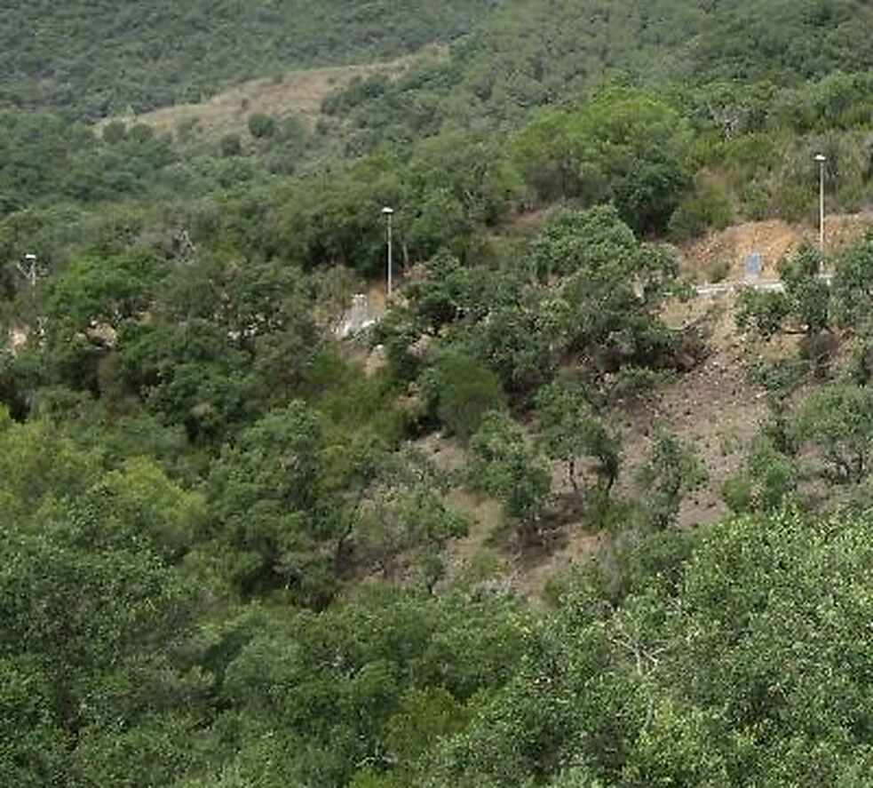Plot for sale in Calonge