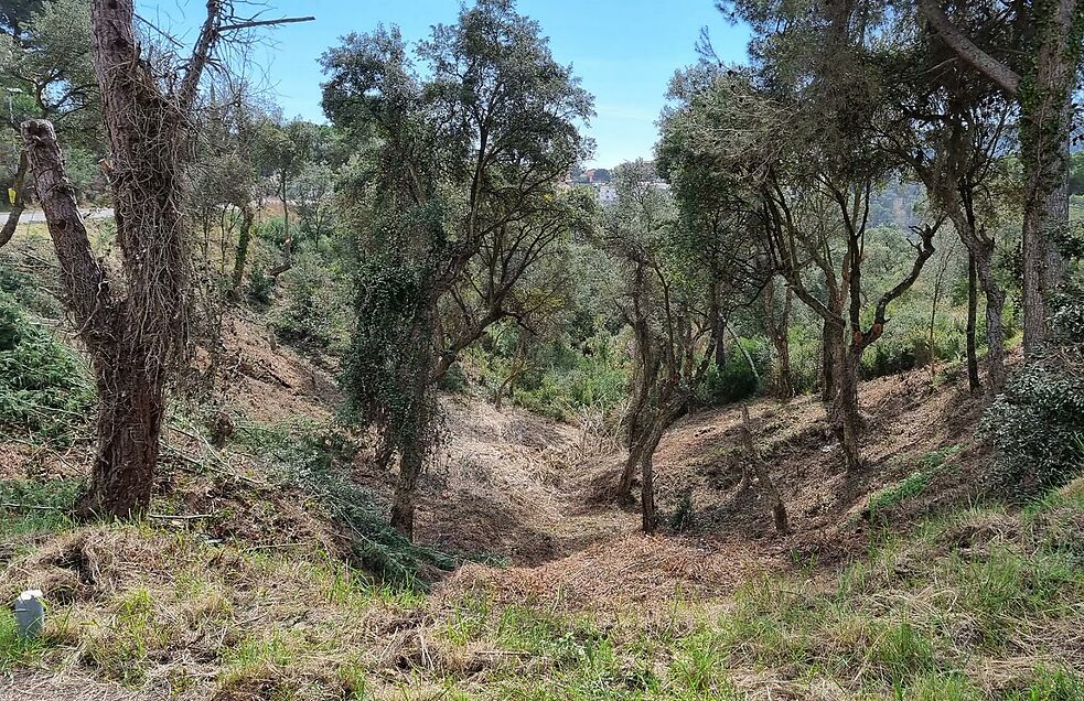 Parcela en venta en Calonge