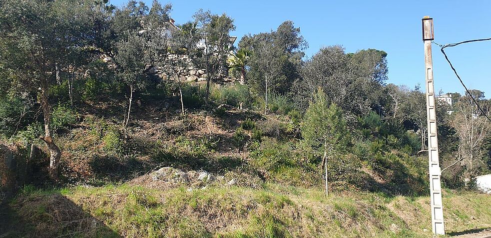 Terrain à vendre à Calonge