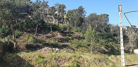 Terrain à vendre à Calonge