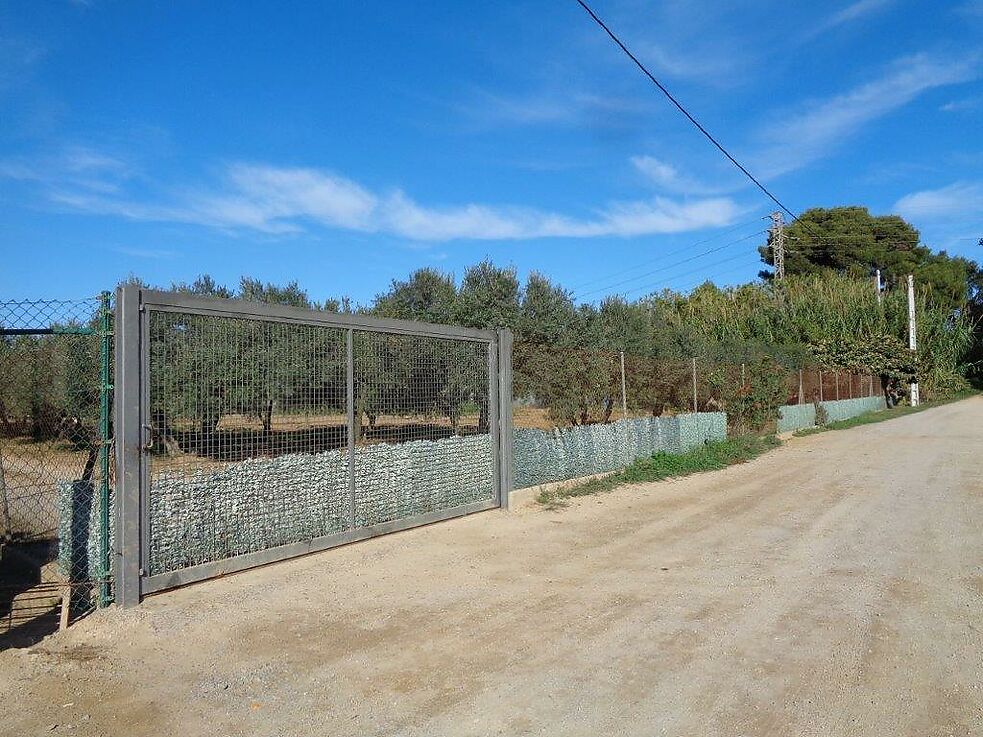 Terreny agrícola en venda a St. Antoni de Calonge