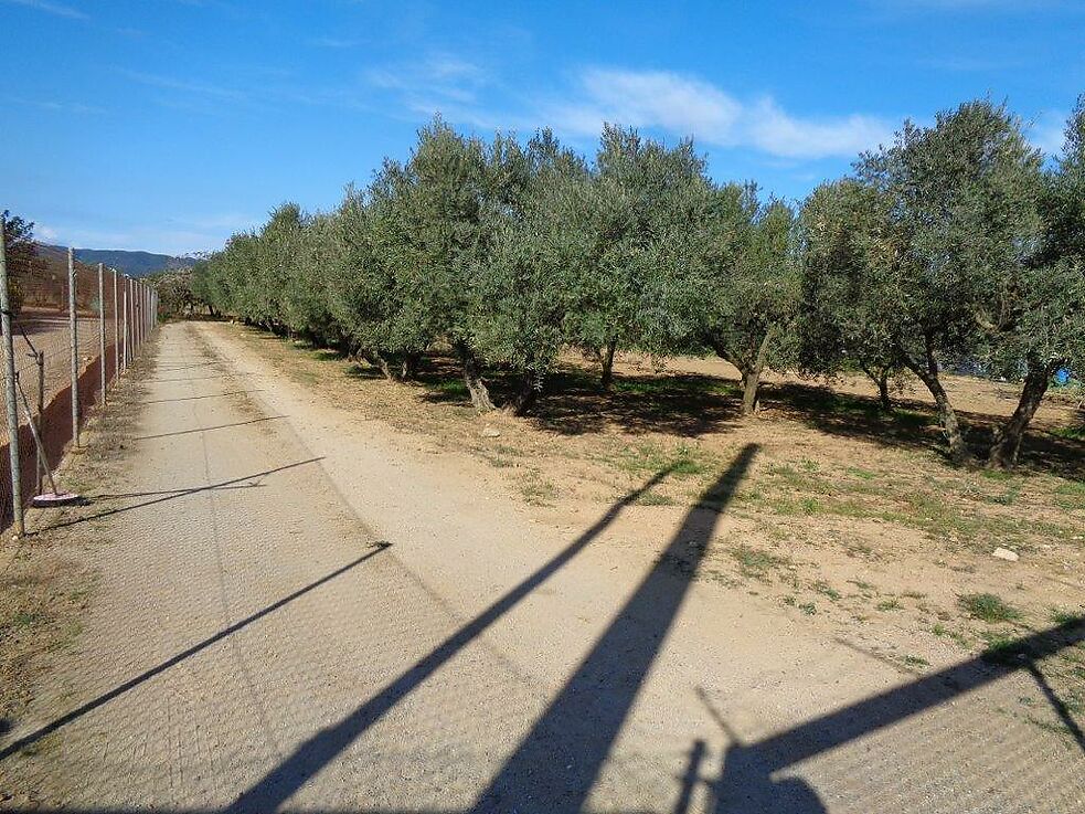 Terreny agrícola en venda a St. Antoni de Calonge