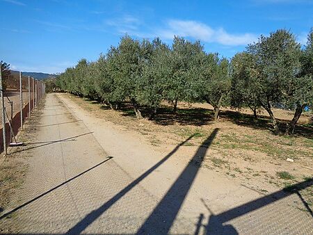 Agricultural land in Sant Antoni de Calonge