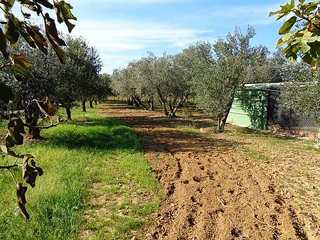 Agricultural land in Sant Antoni de Calonge