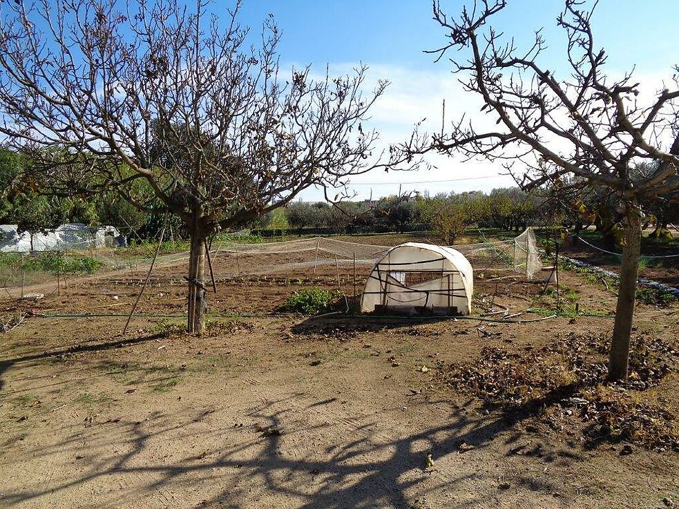 Terreny agrícola en venda a St. Antoni de Calonge