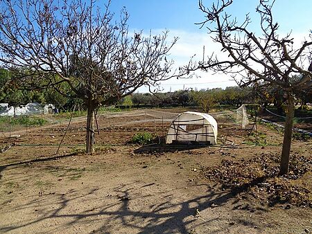 Agricultural land in Sant Antoni de Calonge