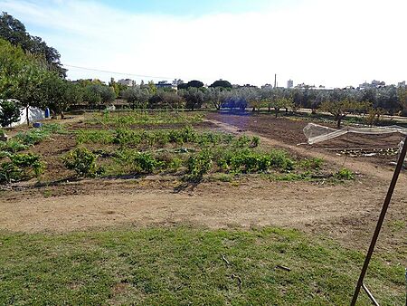 Agricultural land in Sant Antoni de Calonge