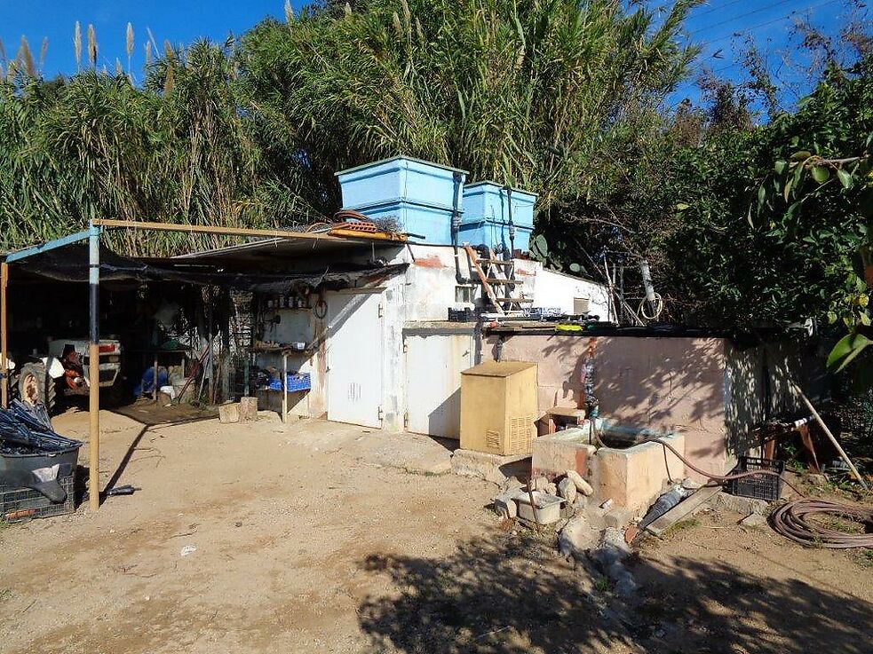 Terreny agrícola en venda a St. Antoni de Calonge