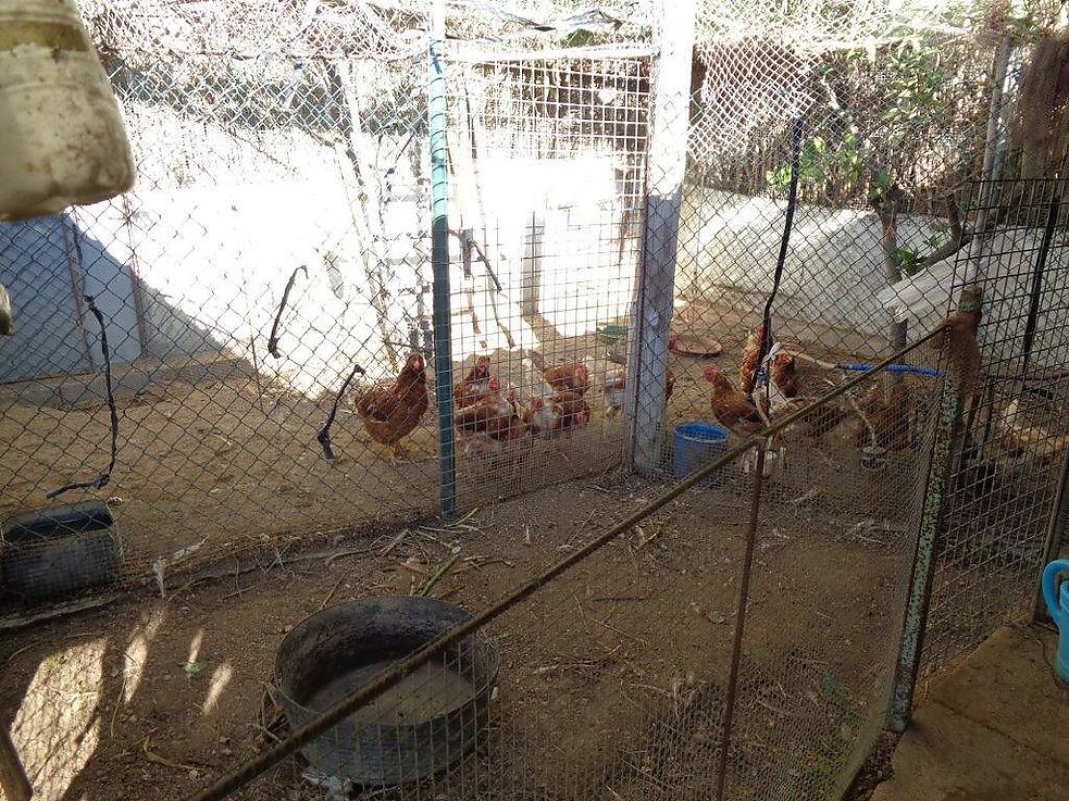 Terreny agrícola en venda a St. Antoni de Calonge