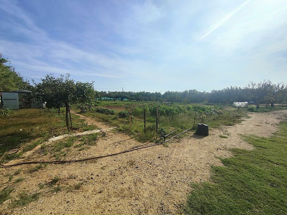 Terreny agrícola en venda a St. Antoni de Calonge