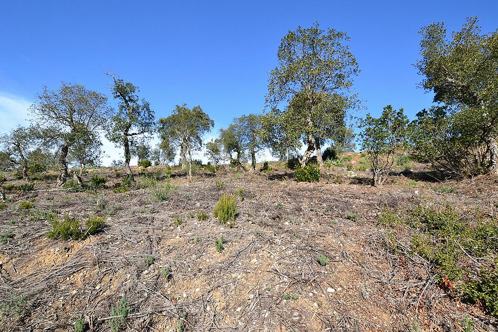 Parcela en venta en Calonge
