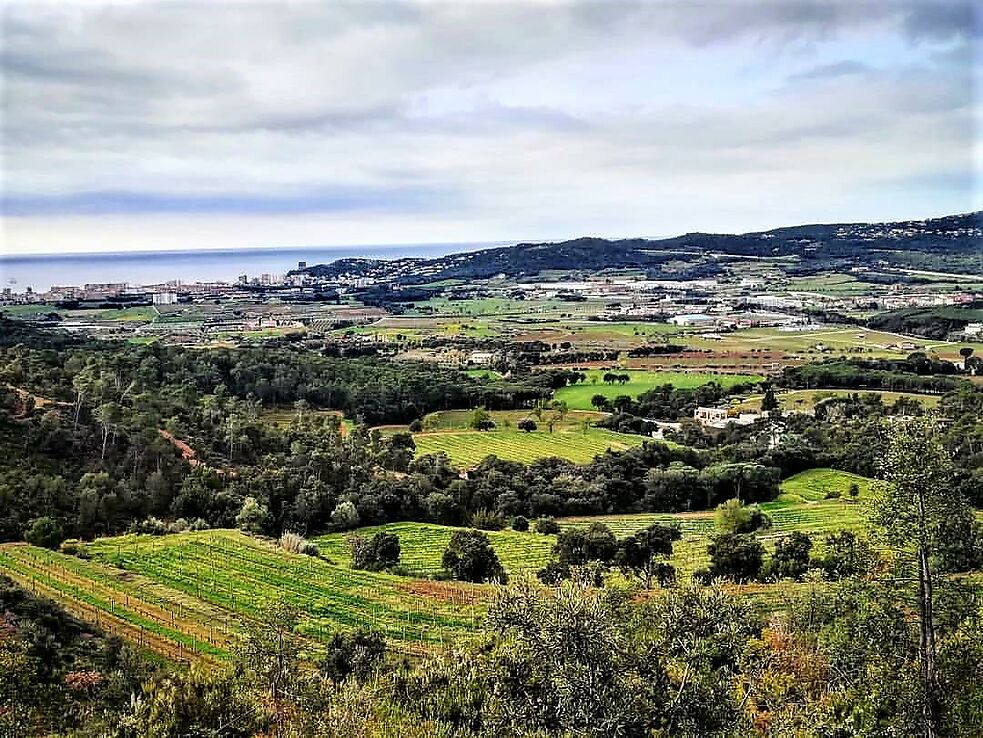 Casa de pueblo en venta en Calonge