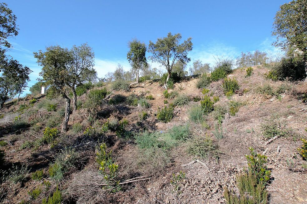 Terreno en venta en Calonge