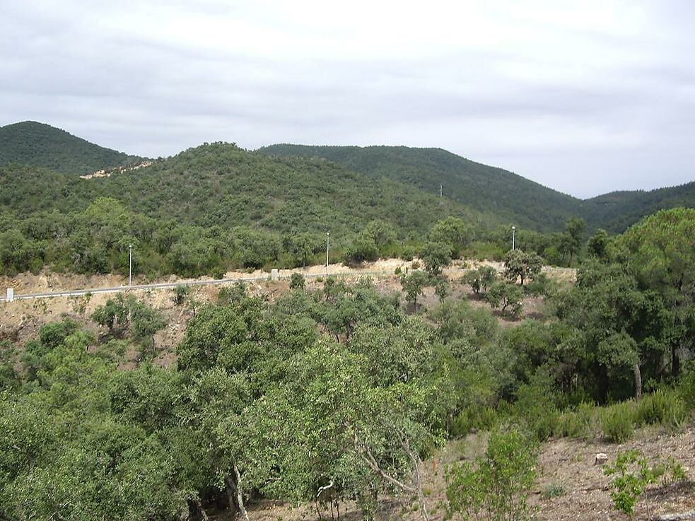 Parcel·la en venda a Calonge