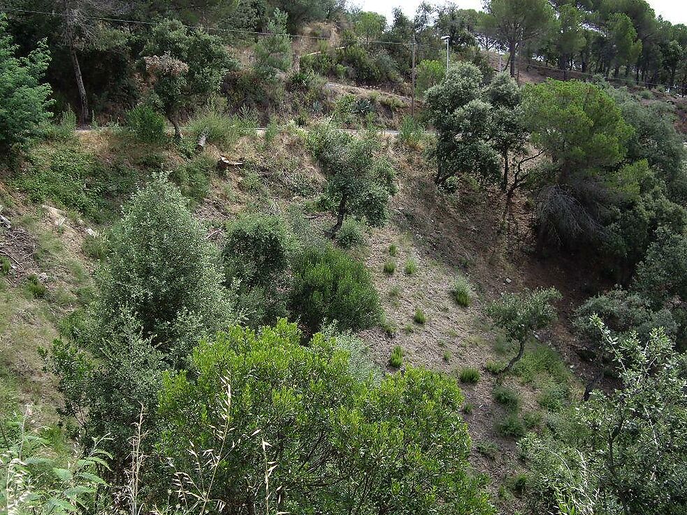 Plot for sale in Calonge