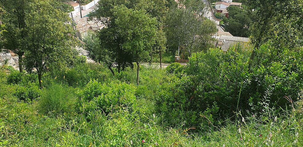 Parcela en venta en Calonge
