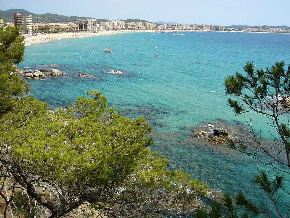 Apartament molt cèntric i a només 100 m de la platja!