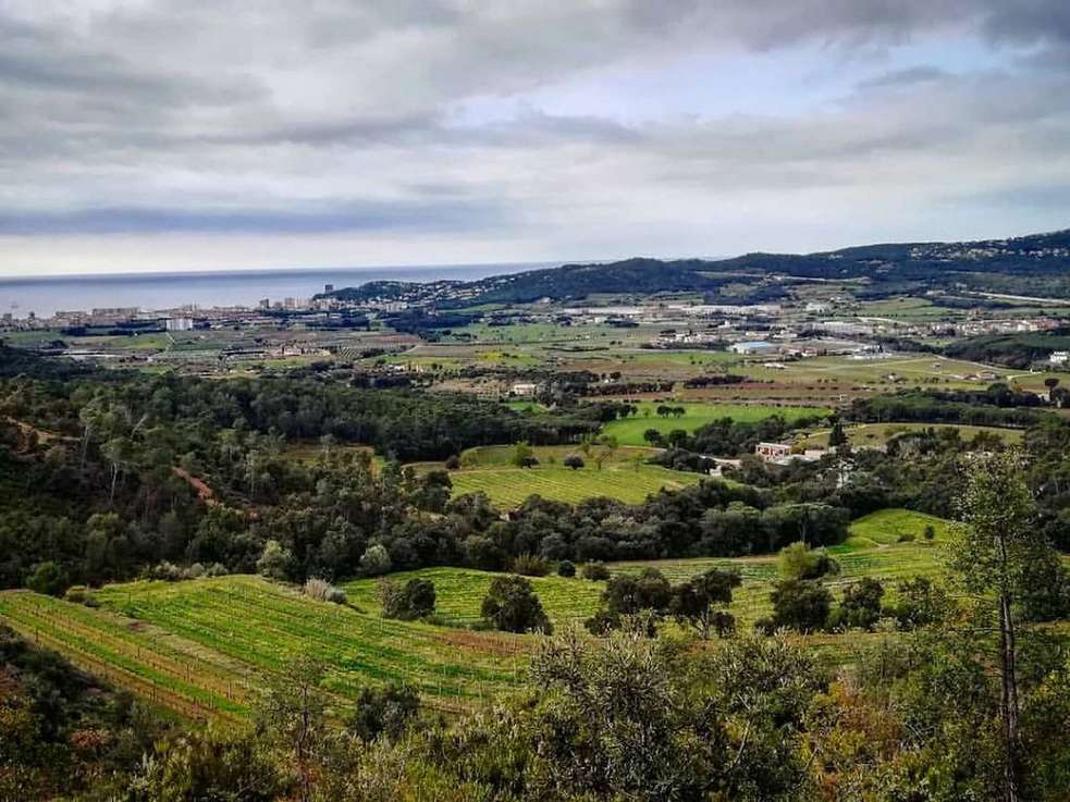 Apartament molt cèntric i a només 100 m de la platja!