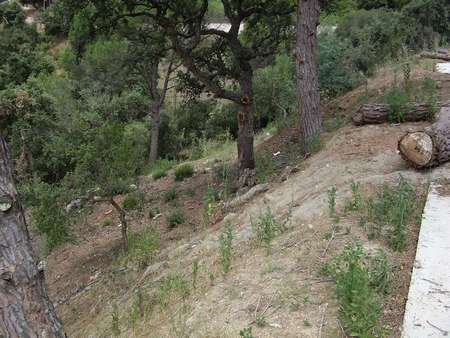 Parcela en venta en Calonge