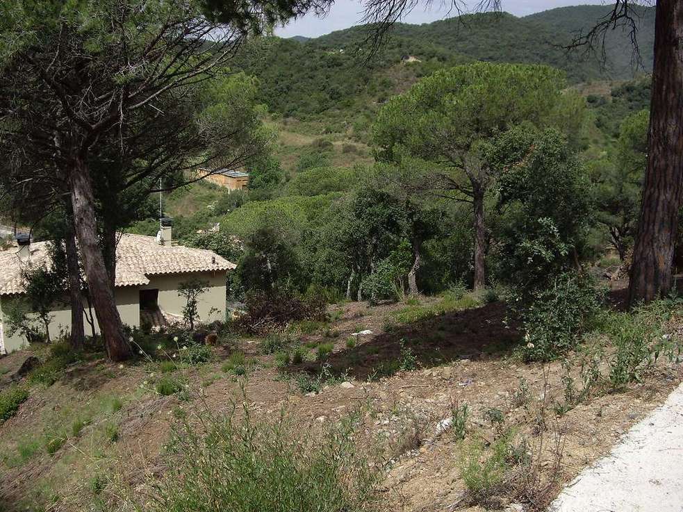 Plot for sale in Calonge