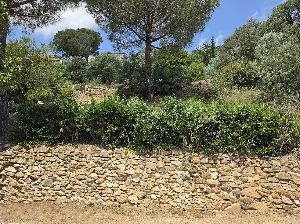Urban plot of 852 m  in Mas Ambrós (Calonge) with panoramic views of the sea.