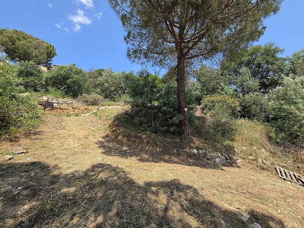 Urban plot of 852 m  in Mas Ambrós (Calonge) with panoramic views of the sea.