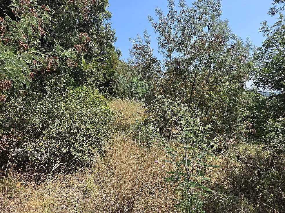 Urban plot of 852 m  in Mas Ambrós (Calonge) with panoramic views of the sea.