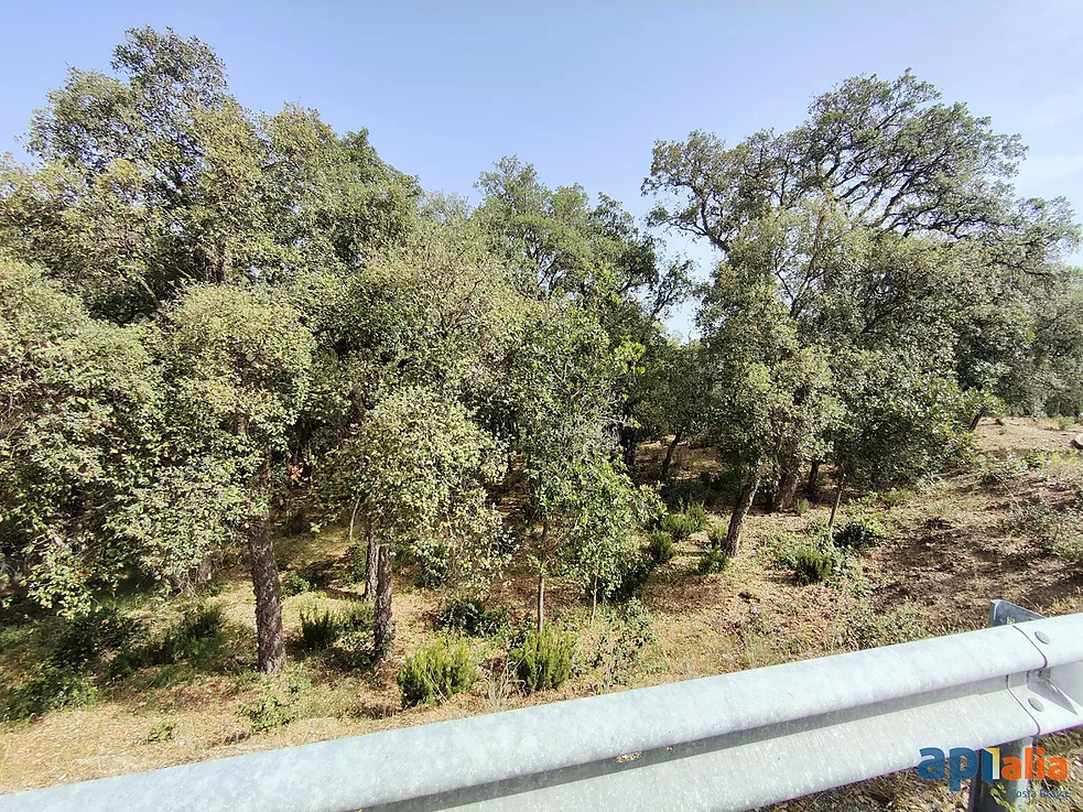 Parcel·la en venda a Santa Cristina d'Aro