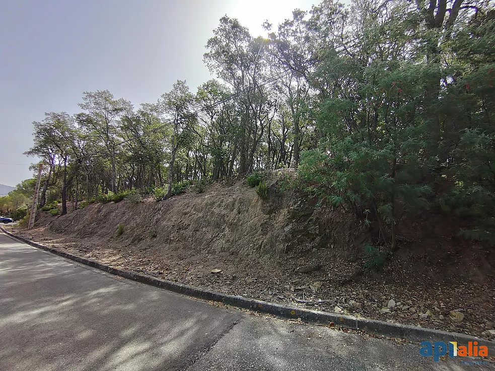 Parcel·la en venda a Santa Cristina d'Aro