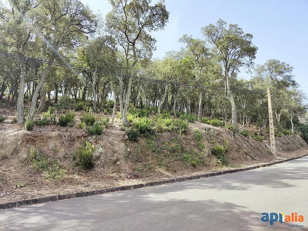 Parcel·la en venda a Santa Cristina d'Aro