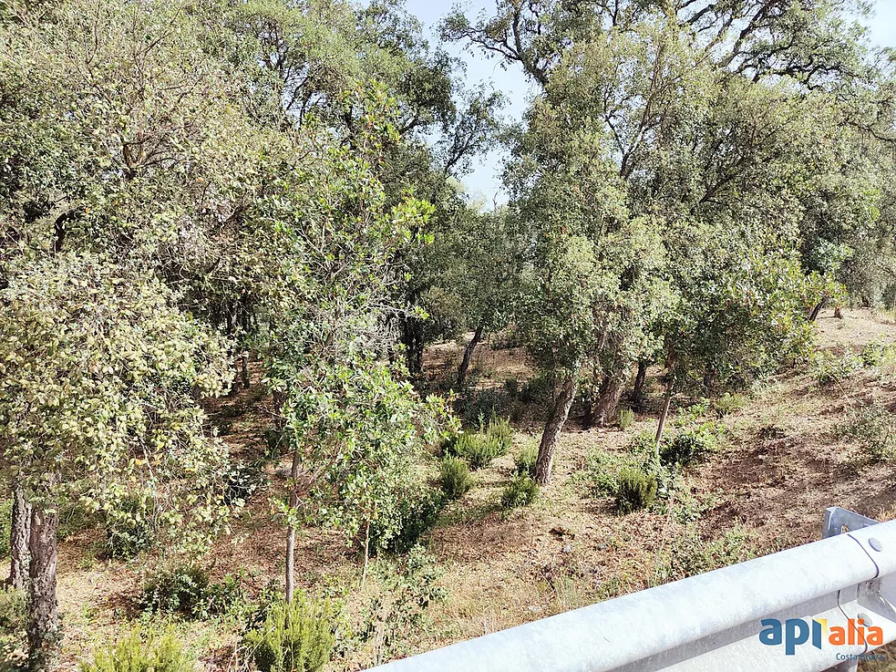 Parcel·la en venda a Santa Cristina d'Aro