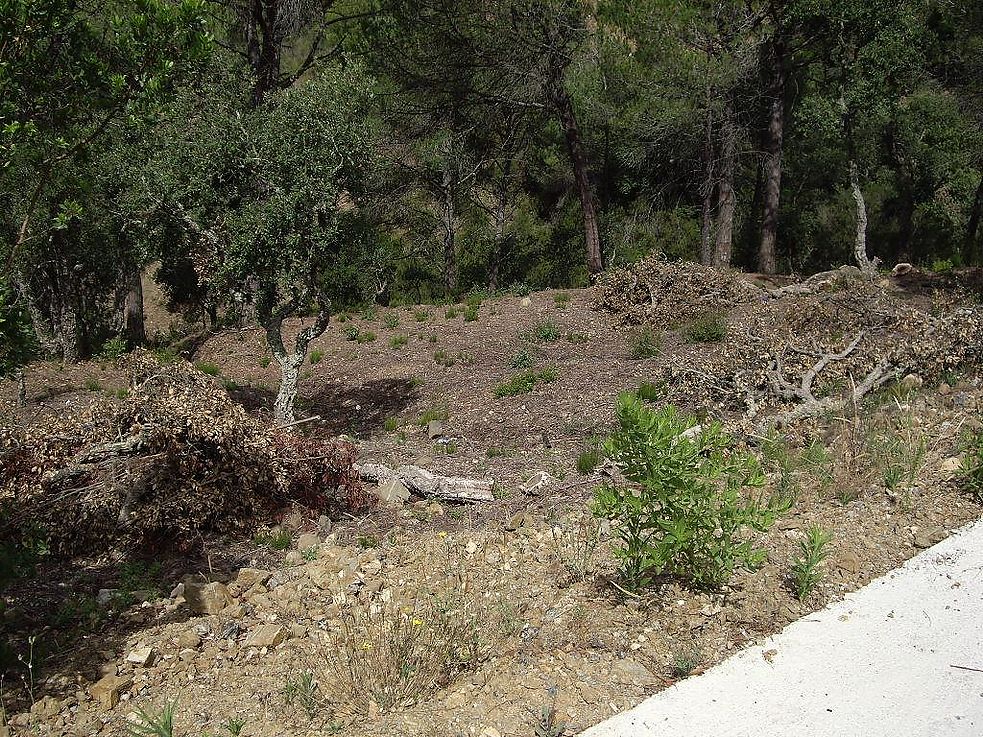 Parcelle à vendre à Calonge