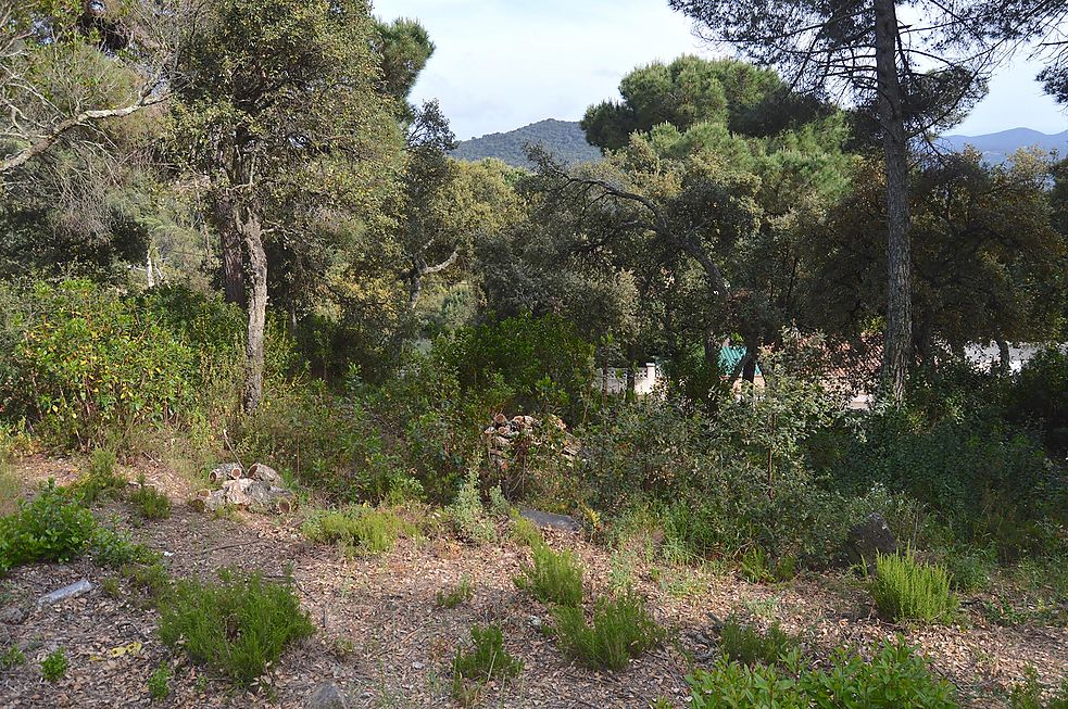 Plot for sale in Santa Cristina d'Aro