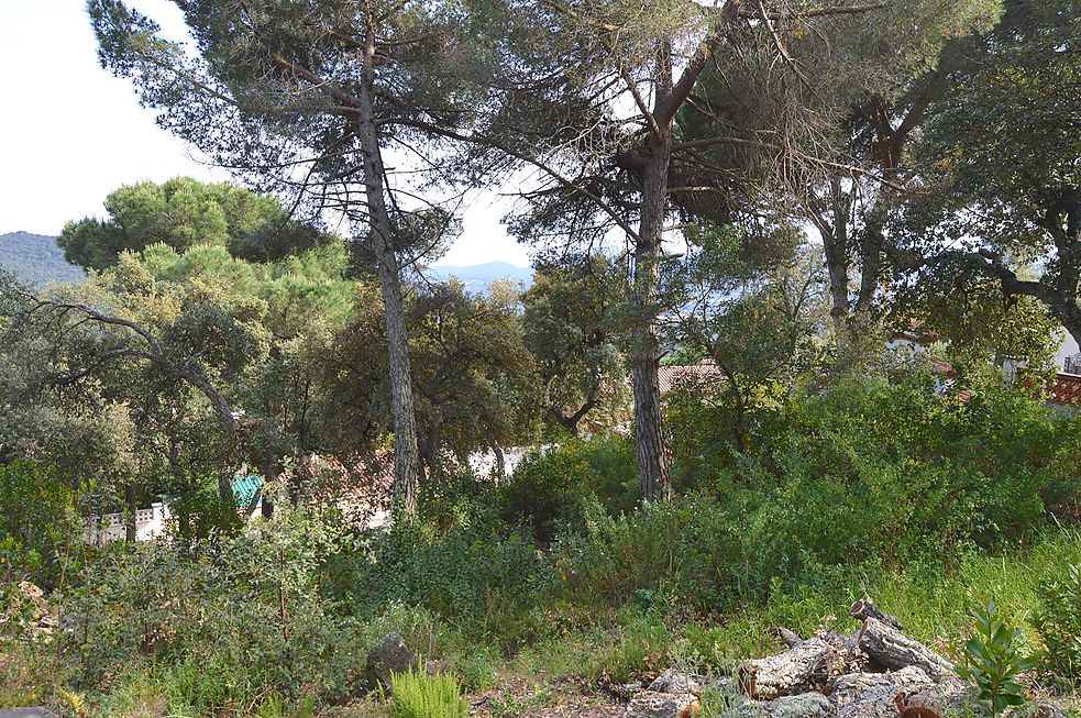 Plot for sale in Santa Cristina d'Aro