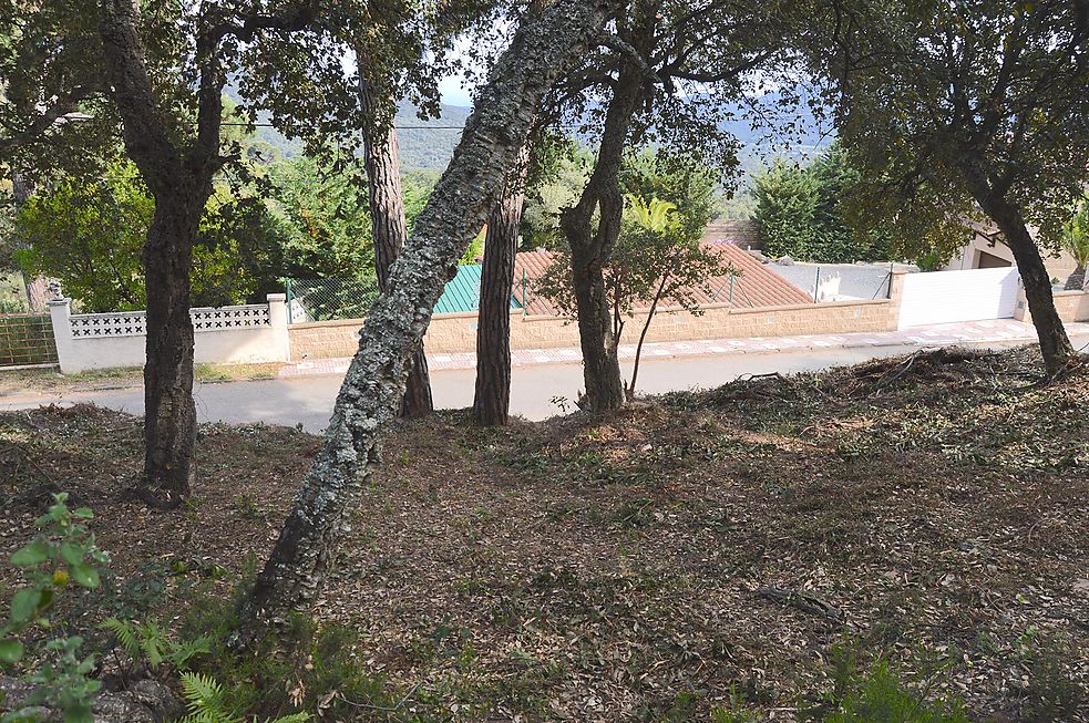 Plot for sale in Santa Cristina d'Aro