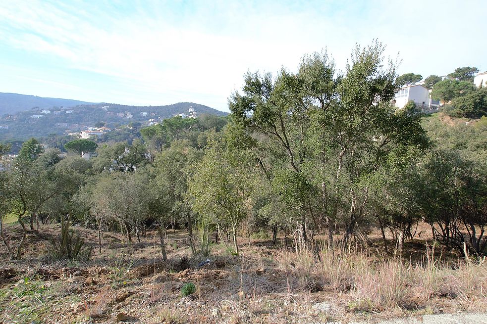 Plot for sale in Calonge