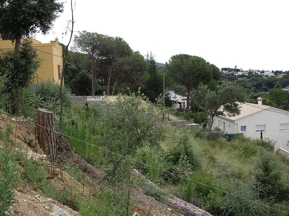 Plot with views of Les Gavarres